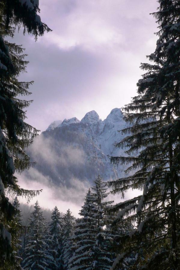 Willa Mountain Loft Tarvisio Zewnętrze zdjęcie
